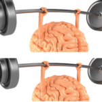 Exercise Recommendations and Academic Performance